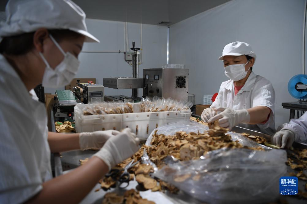 广东麻将推倒胡下载免费